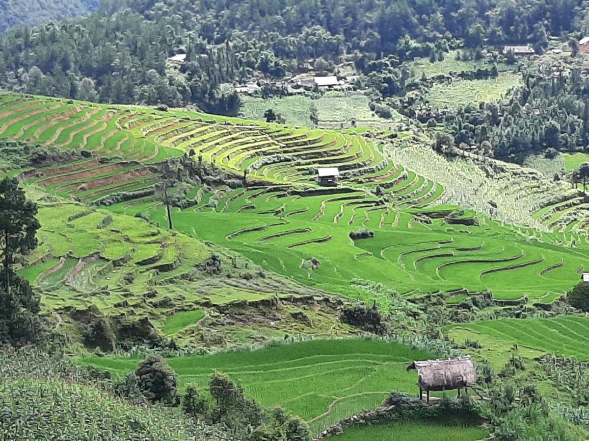 Dong Suoi H'Mong Homestay & Bungalow - Trek & Vegetarian Food Mu Cang Chai Exterior foto