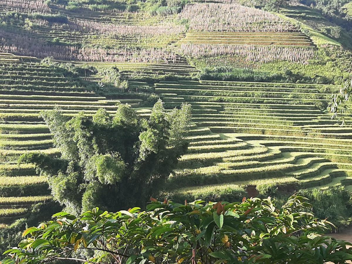 Dong Suoi H'Mong Homestay & Bungalow - Trek & Vegetarian Food Mu Cang Chai Exterior foto