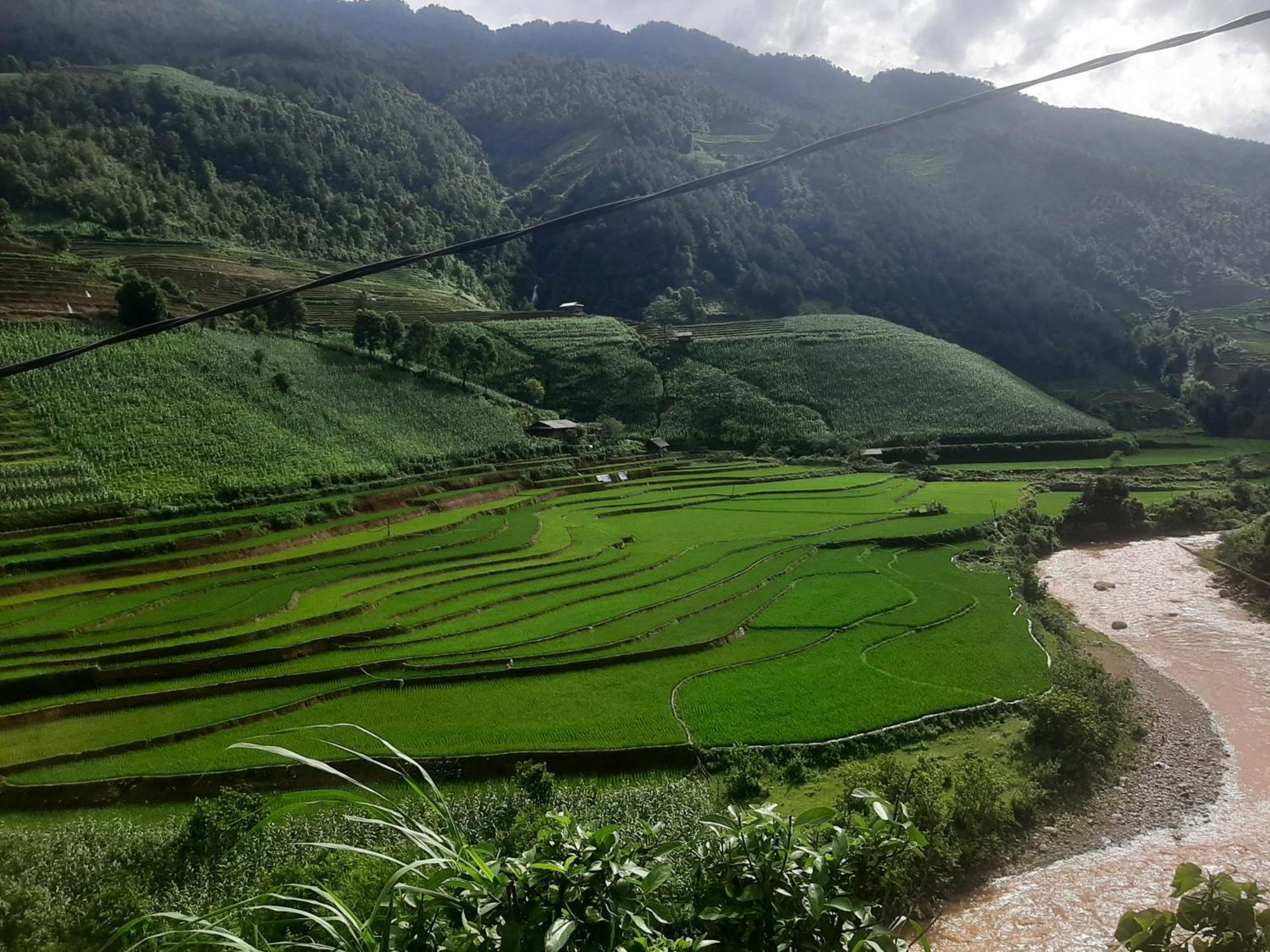 Dong Suoi H'Mong Homestay & Bungalow - Trek & Vegetarian Food Mu Cang Chai Exterior foto